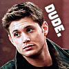 esteefee: Dean Winchester in a black leather jacket, eyebrows raised, with the caption 'Dude.' (dean)