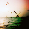 bluedreaming: (mortgraphics - seagulls)