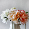 dray: (Vase - Roses)