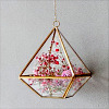 dray: (Terrarium - Pink)