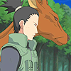 Nara Shikamaru