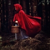littleredridinghood: (pic#14097827)