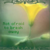 medusahealing: (Not Afraid to Break Away)