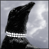 mousewings: (crow with necklace)
