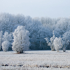 yuuago: (Landscape - Winter frost)