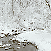 topaz119: (winter)