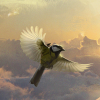 schneefink: a tiny person on a huge bird before a dawn sky (Skyjacks griffin)