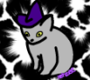 xehzee_sks: That scared witch kitten image meme but badly drawn. (scaredy cat)