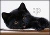 tinyjo: (:p kittie)