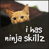 tinyjo: (kitn ninja)