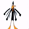 singe: (Daffy Angry)