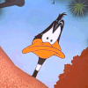 wendelah1: Daffy Duck (Daffy does a double-take)