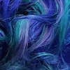 china_shop: Close-up of curly blue-green-purple hair. (my hair)