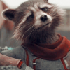 rockyraccoon: (Default)