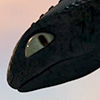 philstar22: (HTTYD: Toothless)