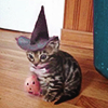 heliconian: (Halloween Kitty)