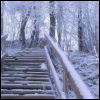 nightfalltwen: (Snowy steps)