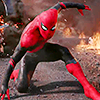 webshooter: pls dnt (pic#14499173)