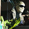 negative_man: (wherefore art thou flower bus)