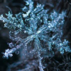 goddess47: (snowflake)