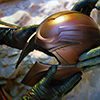 metalmanipulator: (Default)