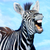 leesa_perrie: Picture of a zebra looking like its laughing. (Laughing Zebra)