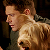 familybadass: (dean22)
