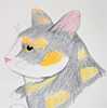 tortoiseshelltigress: (I have a concern)