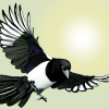 lady_magpie: Painted watercolour Magpie on a yellow green background (Default)