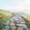 bunnyboo: A stone path going over a green hill (path)