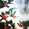 solosundance: (Christmassy)