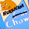 singe: (Hurricane Chow)