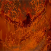 ravynfyre: (firebird)