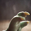 the_child: (Mah magic hand)