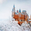 turlough: castle on mountain top in winter, Burg Hohenzollern ((winter) seasonal colours)