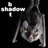 shadowbat: (shadowbat)