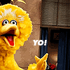 linds: Big Bird Yo (Big Bird Yo)