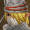 inuthings: (Sheik)