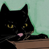 krasnaya_smert: Turn your face towards the moonlight, hold tight to the brrom (Liho - The Original Conjuring Cat)