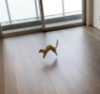 therem_harth: (dance)