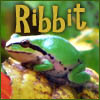 xylohypha: Western tree frog, ribbit (ribbit)