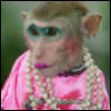 dydan: (sexy monkey)