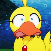 onlyaduck: (XjqRqIS)