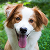 lumelume: (gooboy)