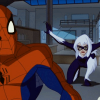 acrossyourpath: (cats don't fight spiders)