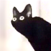 passingbuzzards: Cartoon black cat looking spooked (cat: stare cat)