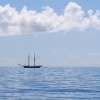 mossy_bench: A lone ship on a bright sunny day (ship)