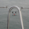 kaysa14: A sailboat's guardrail with a kitty face (Default)