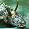 lokigatorson: (Default)