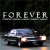 iluvroadrunner6: ([spn] impala)